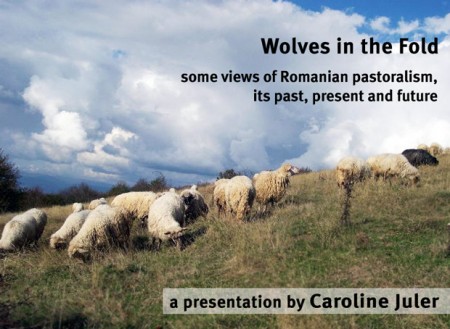 wolves-in-the-fold