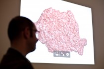 One of the concept-images of the project