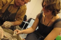 Cornel Sitar and Rowan Guthrie, Education Officer of the Ashmolean